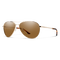 Langley 2, Gold + ChromaPop™ Polarized Brown, hi-res