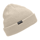 Polar Beanie