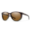 Seeker, Anton Krupicka / Forest Tortoise + ChromaPop Polarized Brown Lens, hi-res