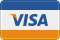 accepted payment methods - visa